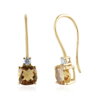 Citrine Hanging earrings model E015063